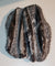 Orthoceras Fossils