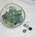 Various sizes of Fluorite crystals in their natural diamond shape in various colours ranging from green, light green, purple, and clear.