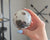 Polarity Moonstone